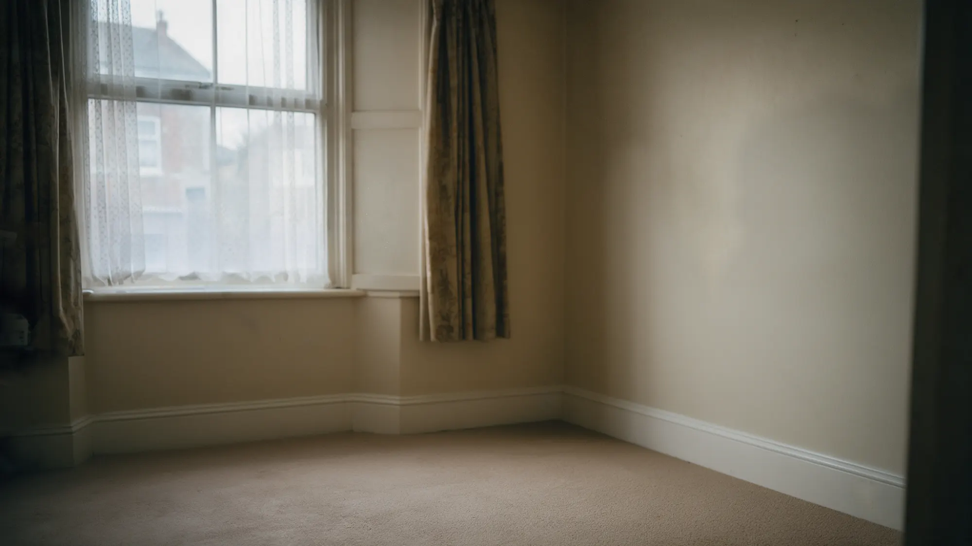 After: the same room cleared and empty, with a clean carpet
